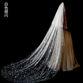 Wedding Veil Bride Long Big Tail Lace Sequins Large Veil